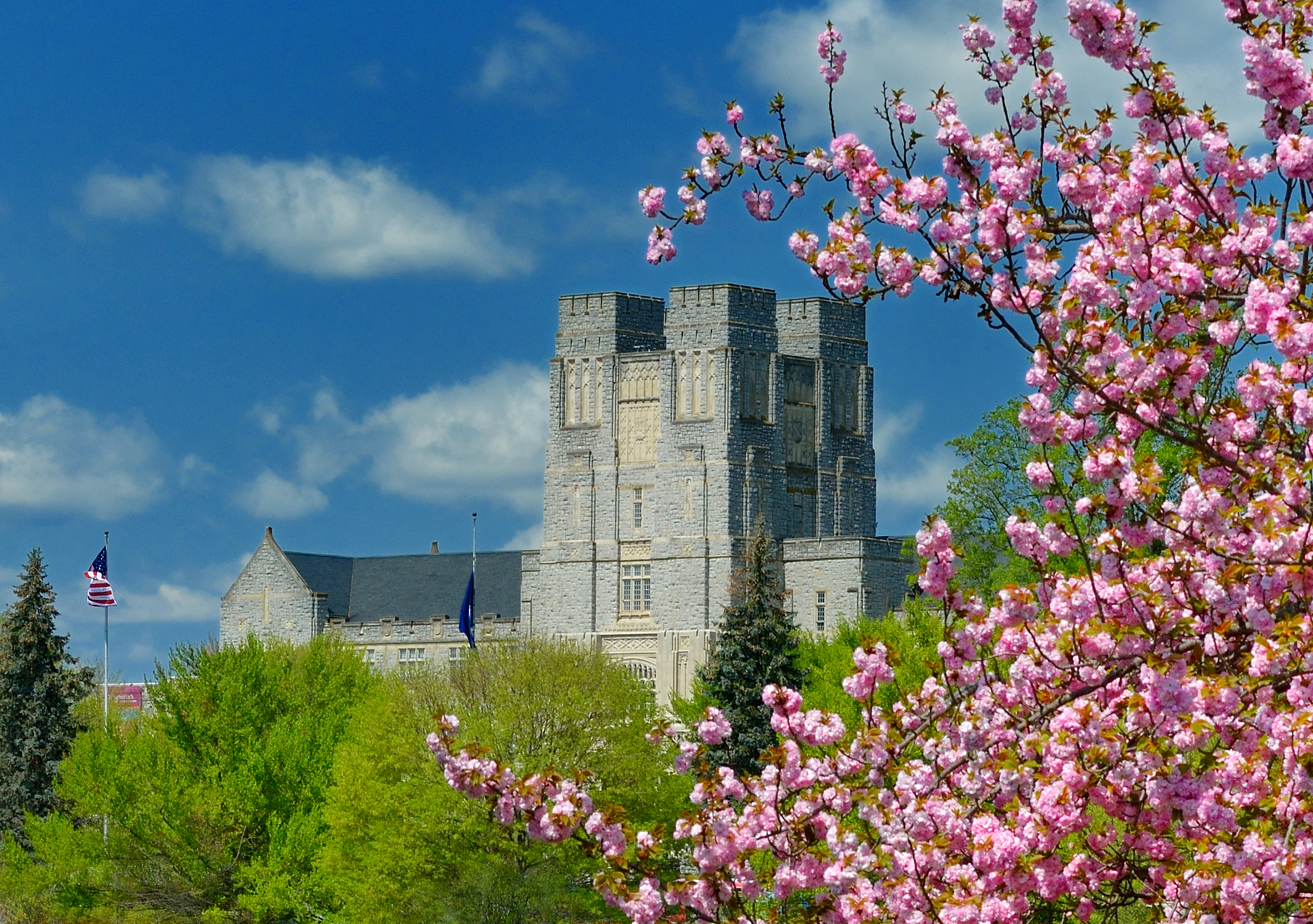 Virginia Tech Spring